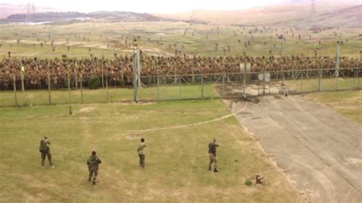 A dystopian flesh-eating nightmare suppresses its urges to become one of Netflix’s biggest hits