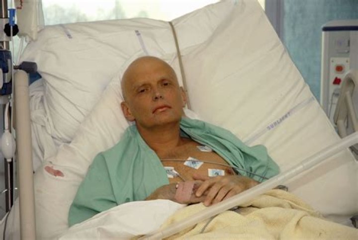 Alexander Litvinenko Biography - Facts, Childhood, Family Life & Achievements