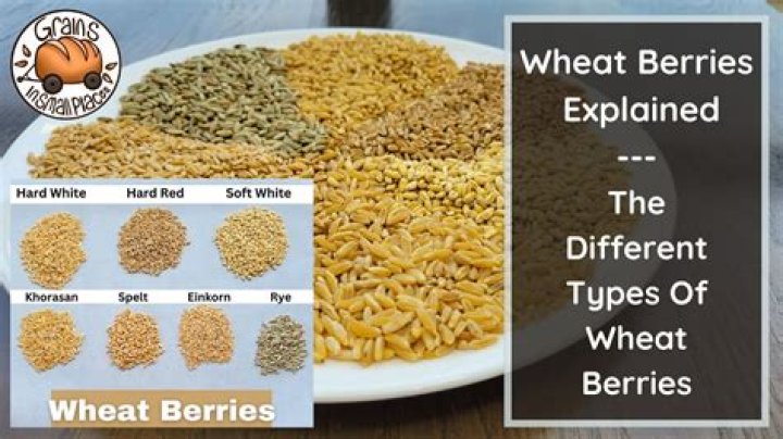 Are wheat berries and bulgur the same