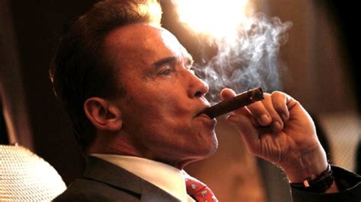 ‘Arnold smokes cigars, Tom does push-ups’: Schwarzenegger and Cruise are unsurprising opposites between takes