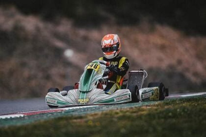 Artem Severiukhin Bio, age, height, parents, siblings, Go-Kart racer, Nazi salute