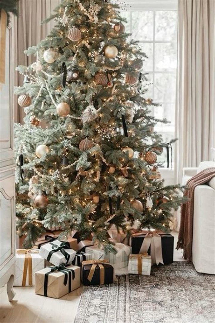 Ashley Cason – Lakeland, GA