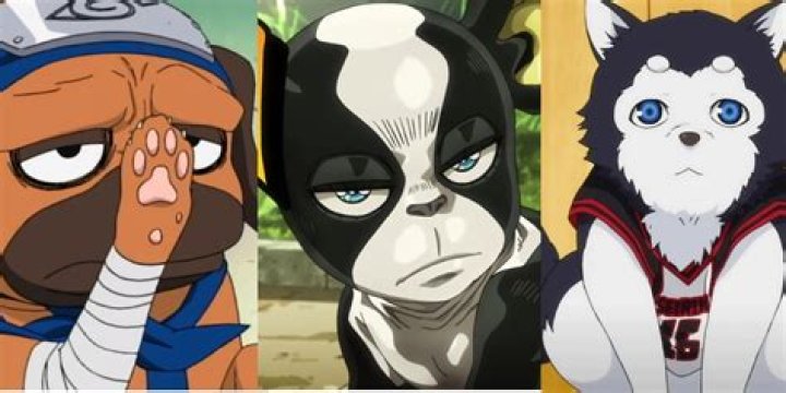Best anime dogs, ranked