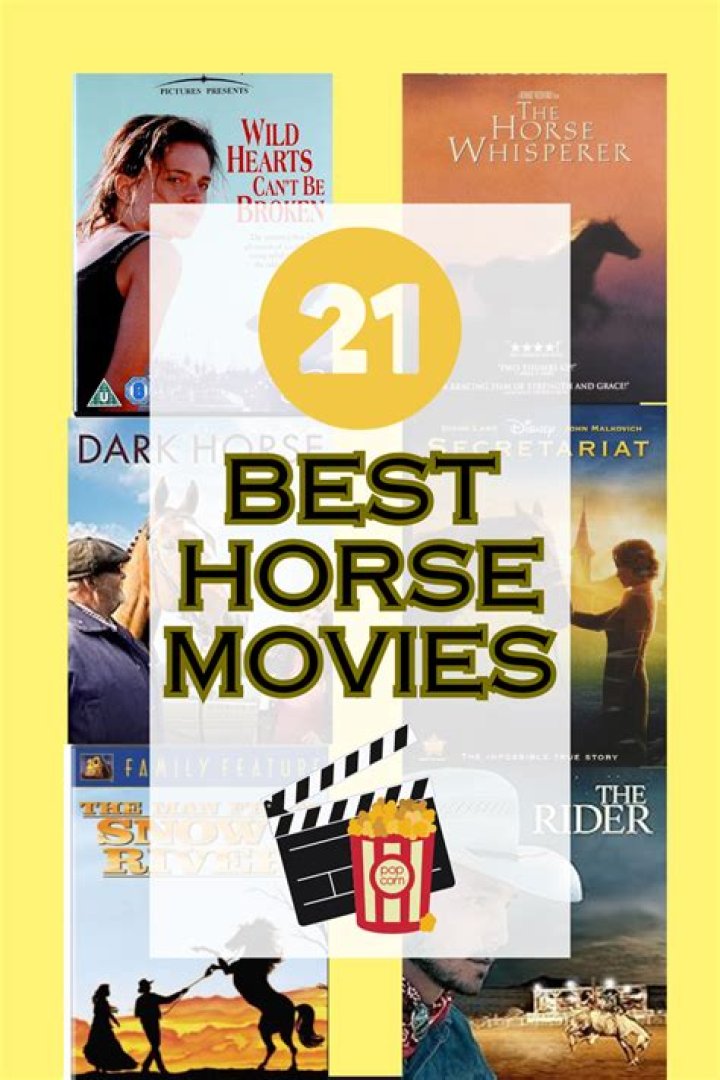 The best horse movies of all time