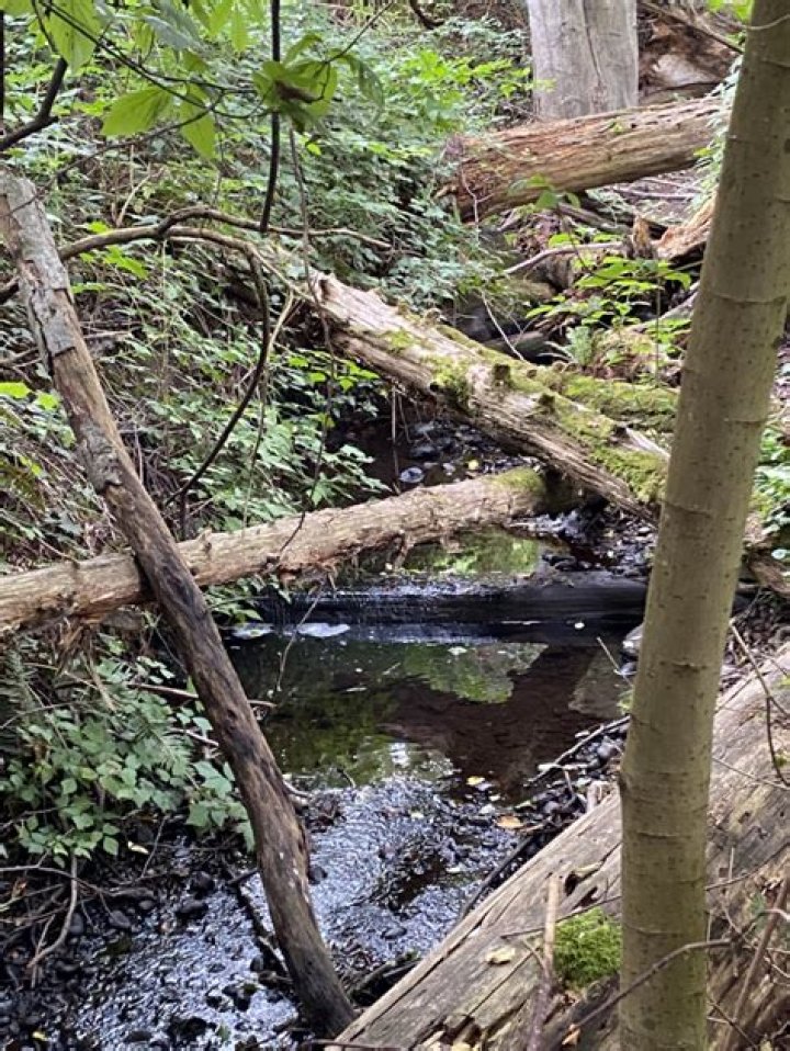 Bethany Reid – Gardner, MA