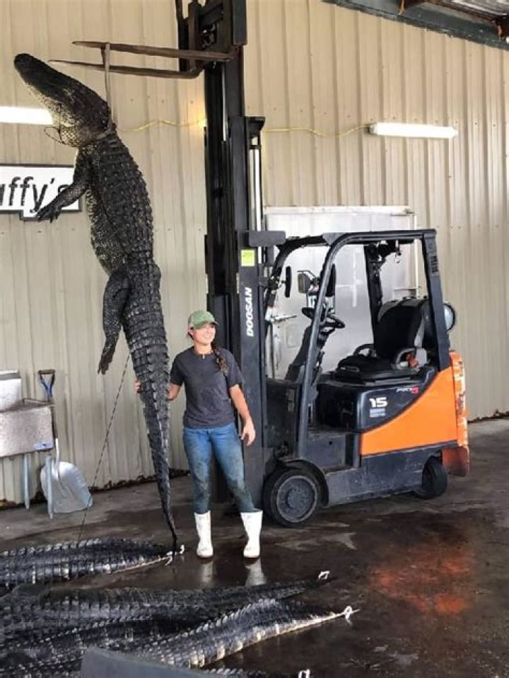 Bobby Waters Height, Weight, Net Worth, Age, Birthday, Wikipedia, Who, Instagram, Biography