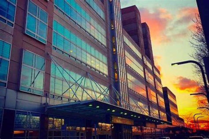 Dr. Camaleigh Jaber, MD – Maywood, IL