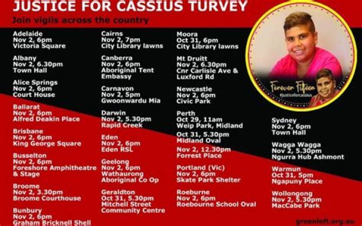 Cassius Turvey Height, Weight, Net Worth, Age, Birthday, Wikipedia, Who, Instagram, Biography