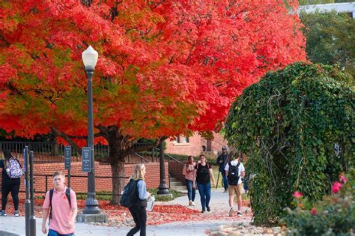 Dr. Charles Thomason, MD – Bryan, TX