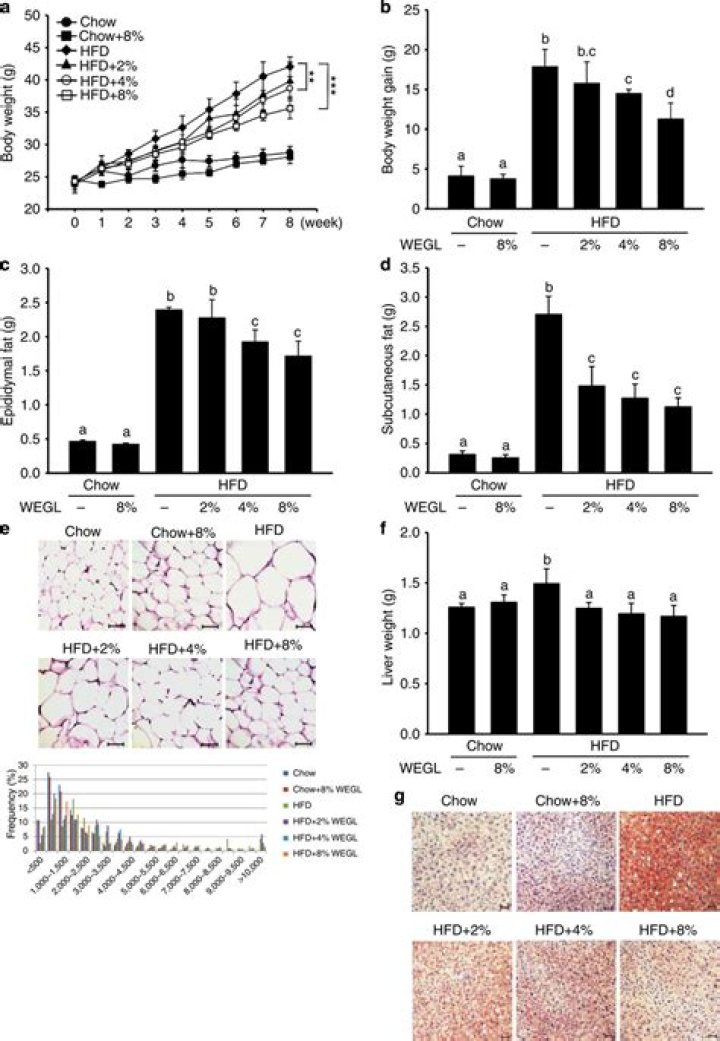 Dr. Chia Chen, MD – Staten Island, NY