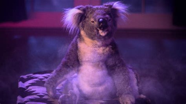 Critically reviled reboot squats on top of HBO Max charts