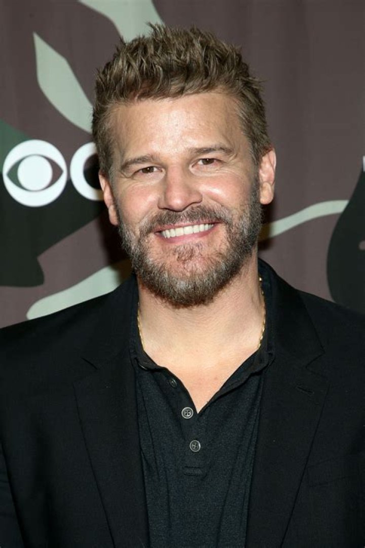 David Boreanaz Biography - Facts, Childhood, Family Life & Achievements
