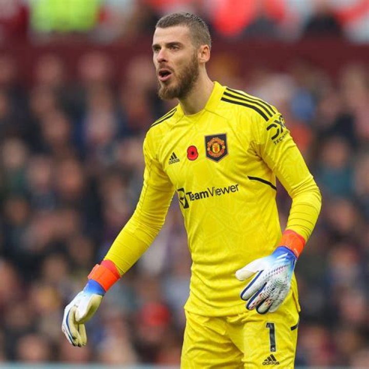 David De Gea Biography - Facts, Childhood, Family Life & Achievements