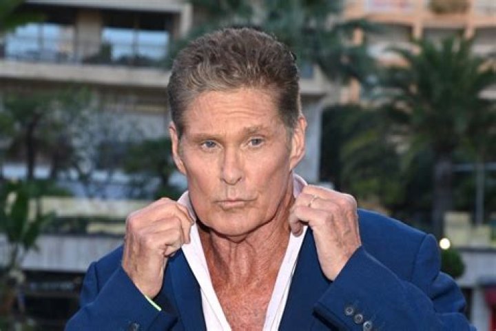 David Hasselhoff Biography - Facts, Childhood, Family Life & Achievements