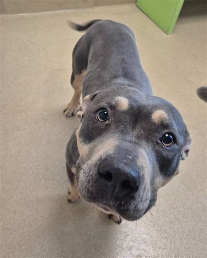 Dawn (Rizzo) Giannini – New Haven, CT