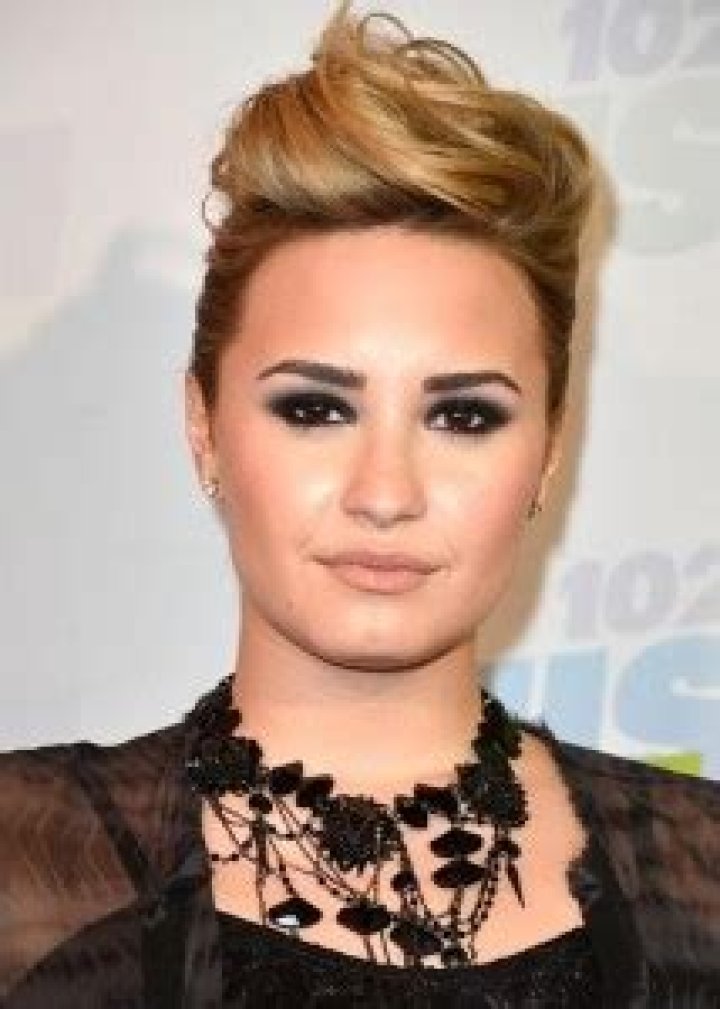 Demi Lovato Favorite Color Movie Book Food Hobbies Biography