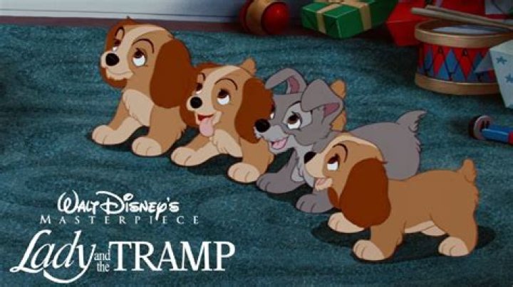 Did Lady and the Tramp have puppies? – Celebrity