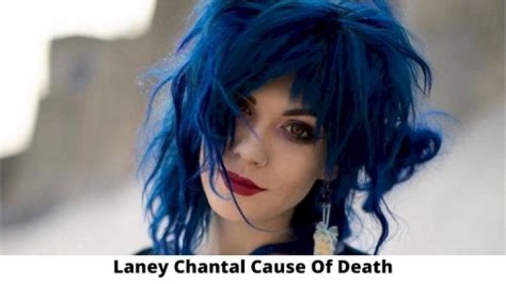 Did Laney Chantal Have Kids?