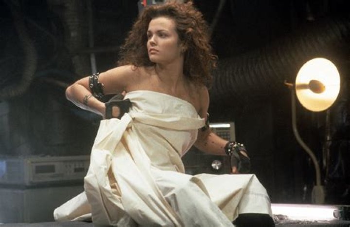 Dina Meyer top movies, TV shows and awards