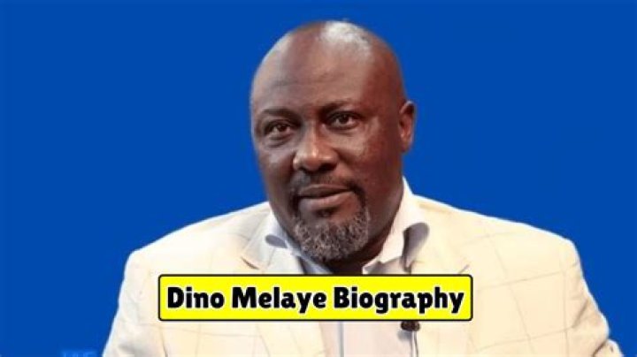 Dino Melaye Biography, Age & Net Worth
