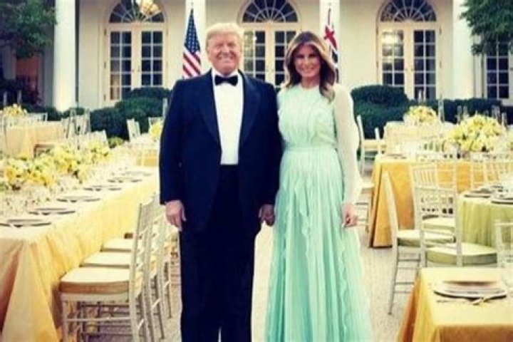 Donald Trump Responds To Claims He Wanted Alligator Or Snake Filled Moat And Skin-Piercing Spikes At Border Wall