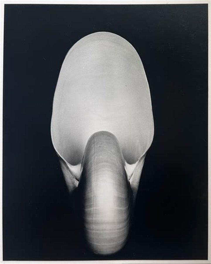 Edward Weston Biography - Facts, Childhood, Family Life & Achievements