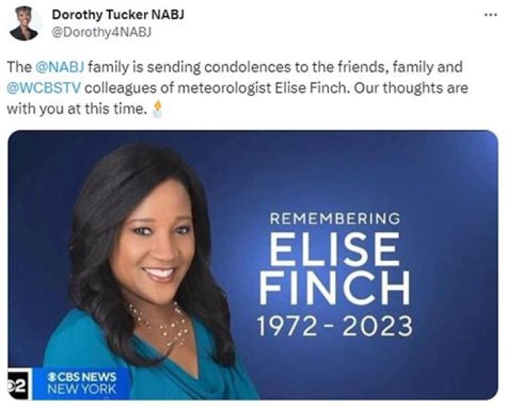 Elise Finch salary: How much was Elise Finch paid?