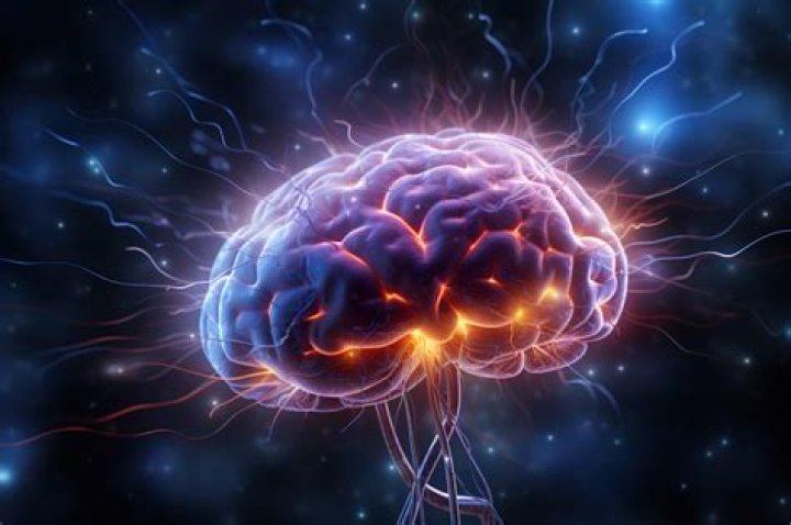 Epilepsy jobs | Doximity