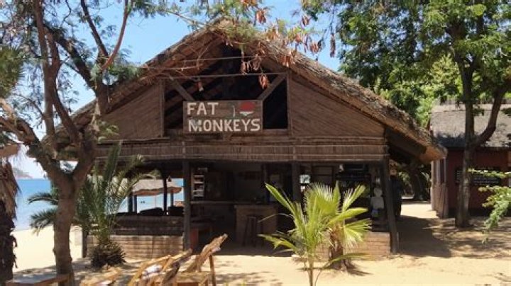 Fat Monkeys Lodge, Monkey Bay, Malawi