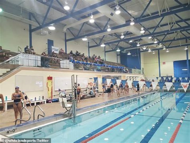 GoFundMe; Alaina Dildine Obituary, Student drowns in high school pool during gym class,