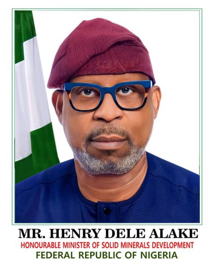 Henry Dele Alake’s biography, net worth, fact, career, awards and life story