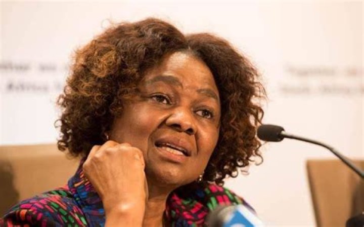 
Hlengiwe Mkhize Age, Birthday, Wikipedia, Who, Nationality, Biography 