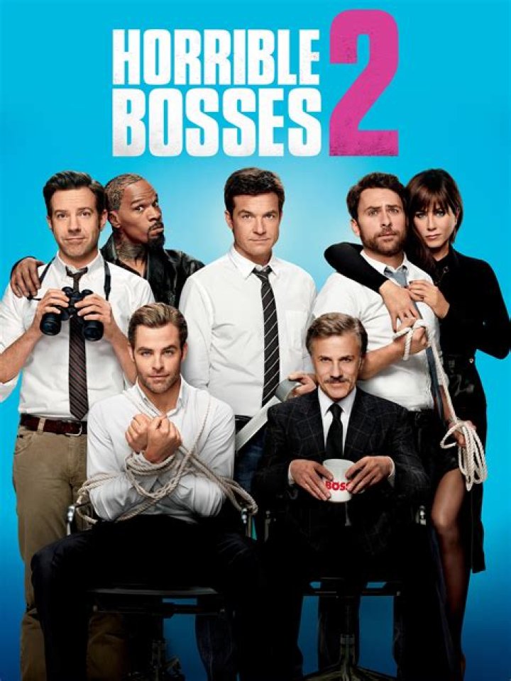 Horrible Bosses Review
