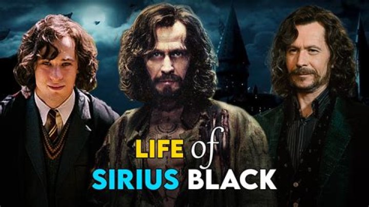 How Did Sirius Black Die In Harry Potter?