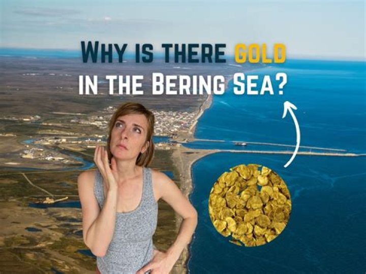 How Much Do The Kellys Get Paid For Bering Sea Gold? – Celebrity