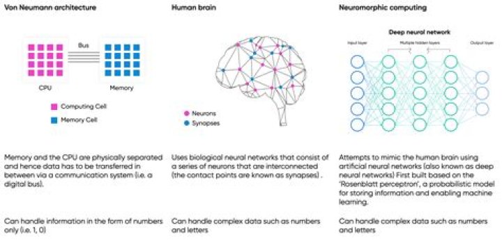 How Much Is Von Dutch Worth? – Celebrity
