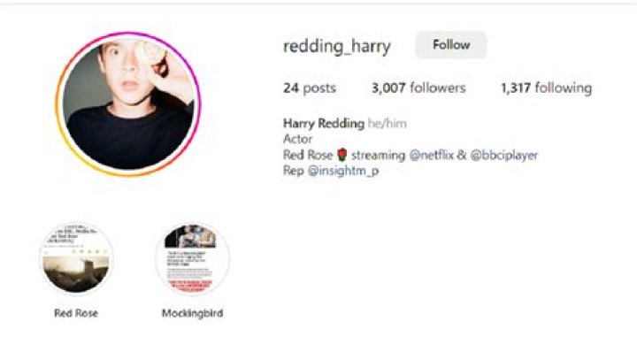 How Old Is British Actor Harry Redding Now? Harry Redding Age,Height, Wikipedia Bio & Instagram