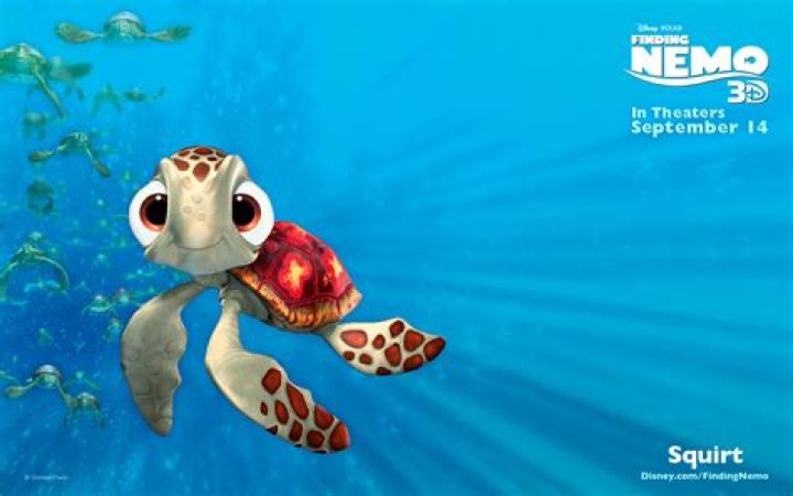 How old is Squirt in Finding Nemo? – Celebrity