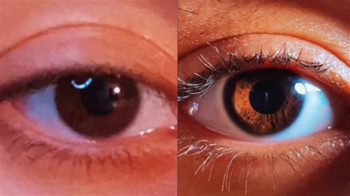 How to do TikTok’s viral ‘Euphoria’ eye trend