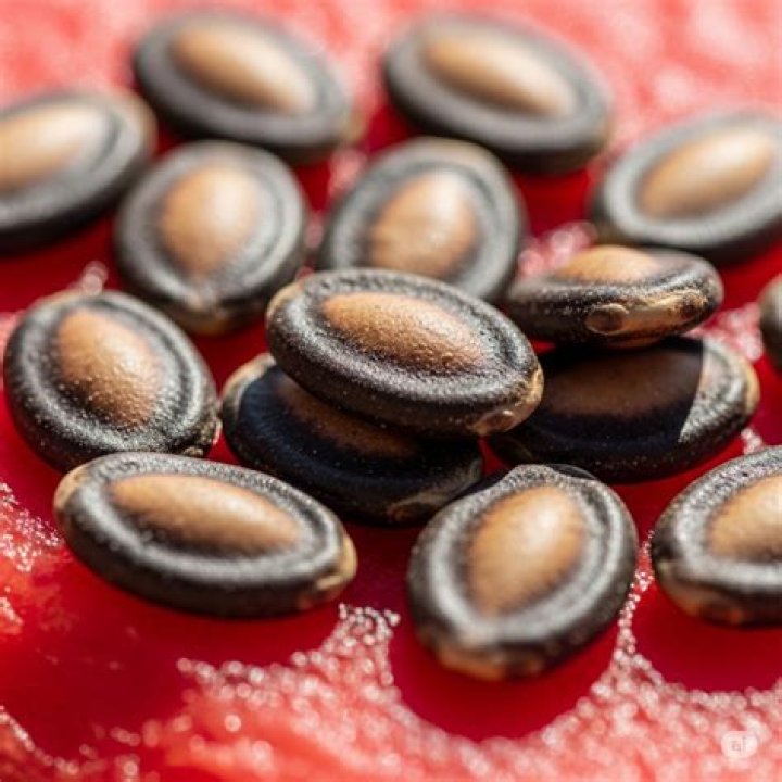How to start watermelon seeds