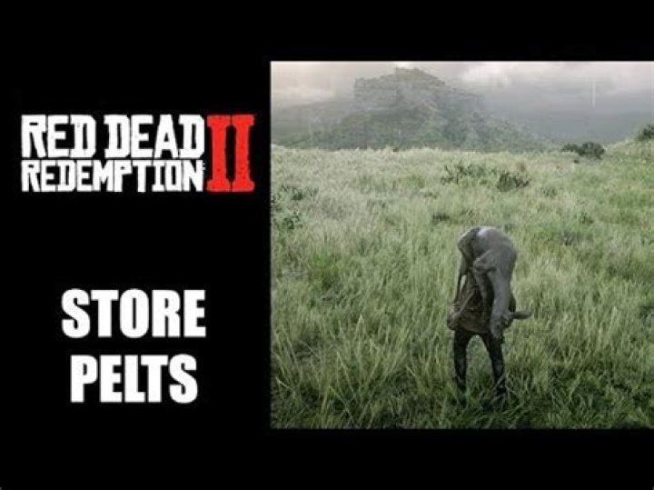 How to store pelts rdr2