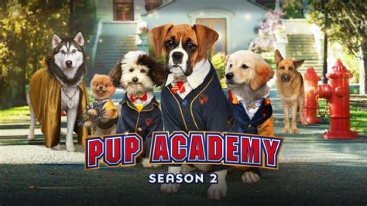 Is dude in pup Academy? – Celebrity