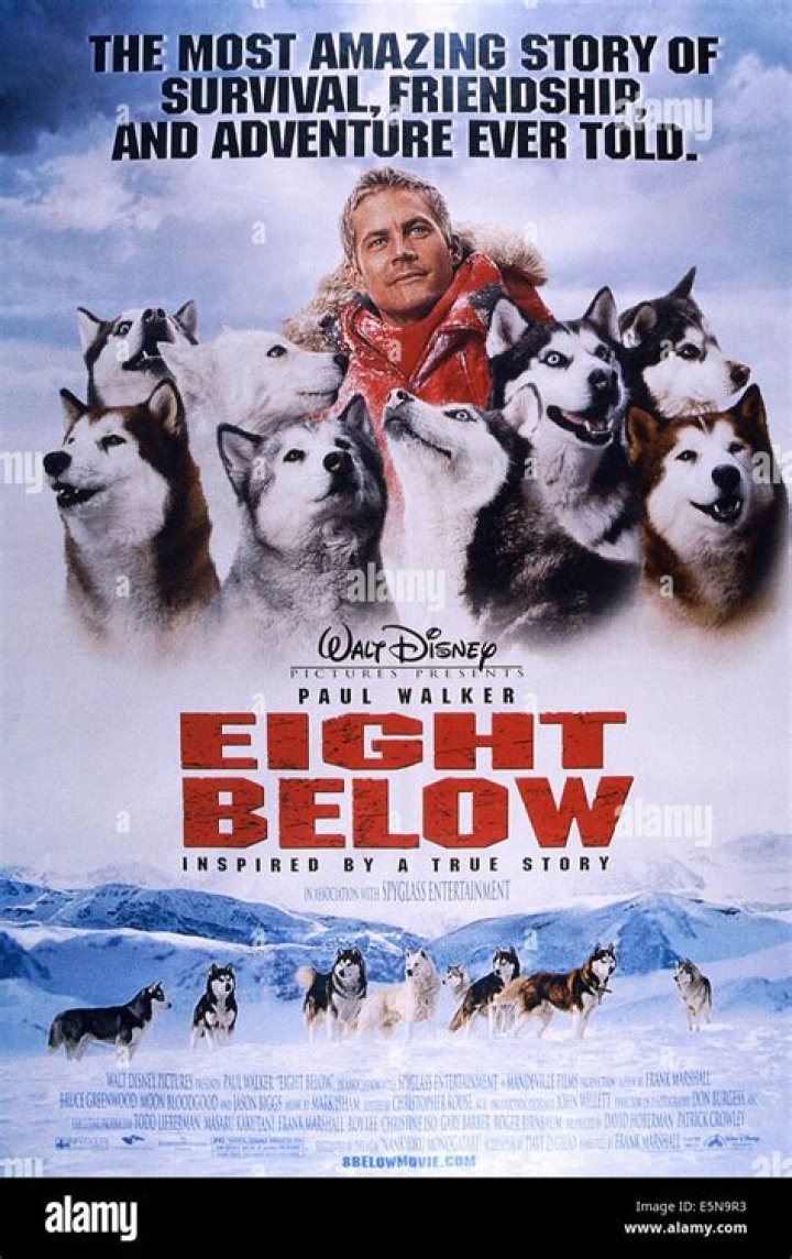 Is movie Eight Below a true story? – Celebrity