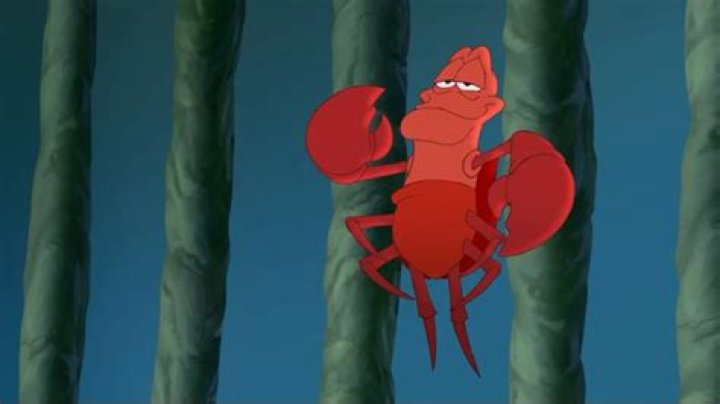 Is Sebastian in Little Mermaid a crab or lobster? – Celebrity