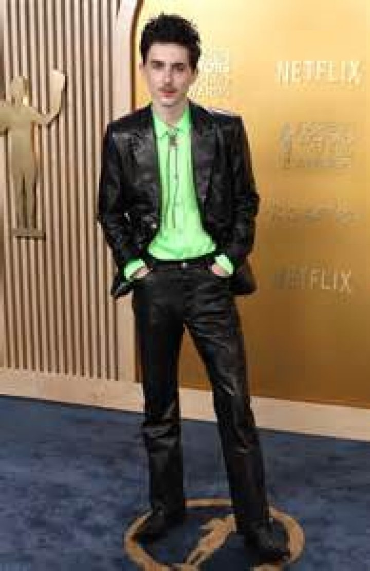 Is Timothée Chalamet single?