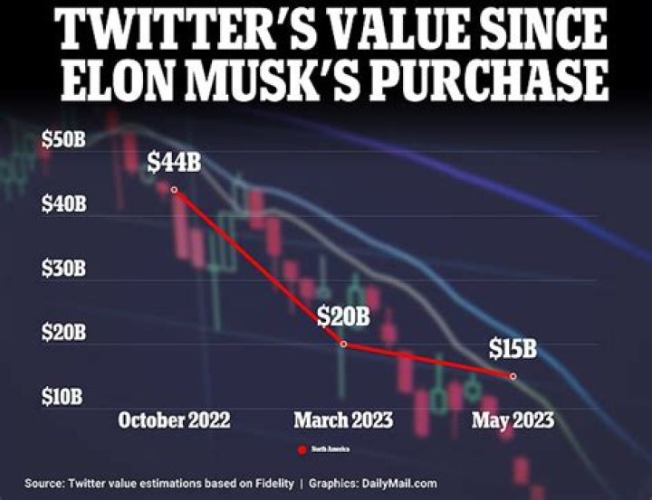
Is Twitter worth $20 billion now? Elon Musk says company now less than half its $44 billion purchase price 
