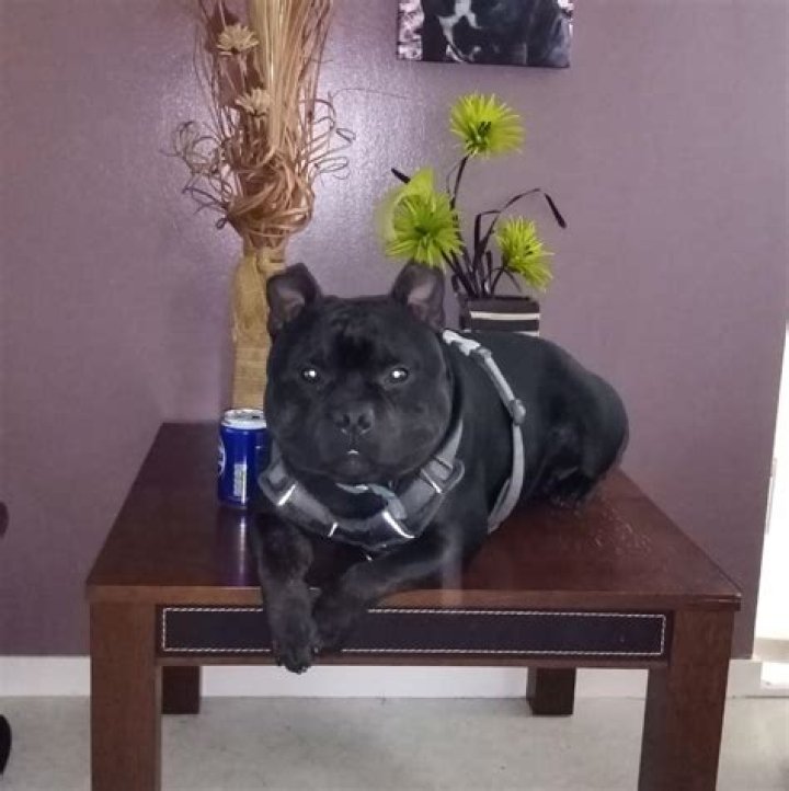 Dr. James Cumming, DO – Carmel, IN