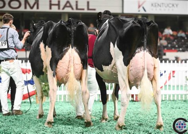 Jason Kline, PA – Glendale, AZ