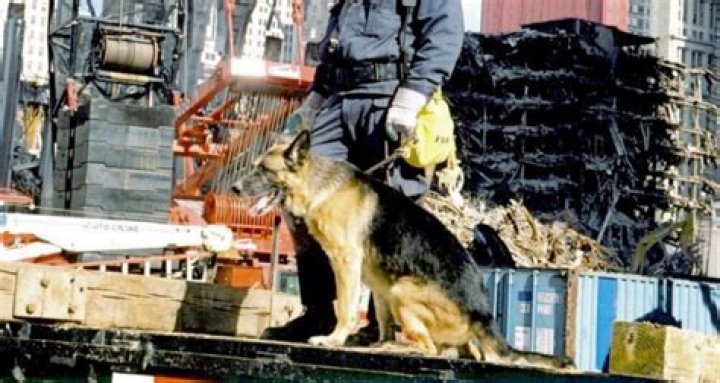 Jason Thomas Bio, Wiki, Age, Family Wife, 9/11 Rescue, Marine and Net Worth