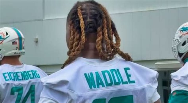 Jaylen Waddle: Career stats, height, weight, family, college, teams, salary, net worth